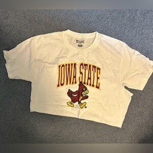Champion Iowa state shirt